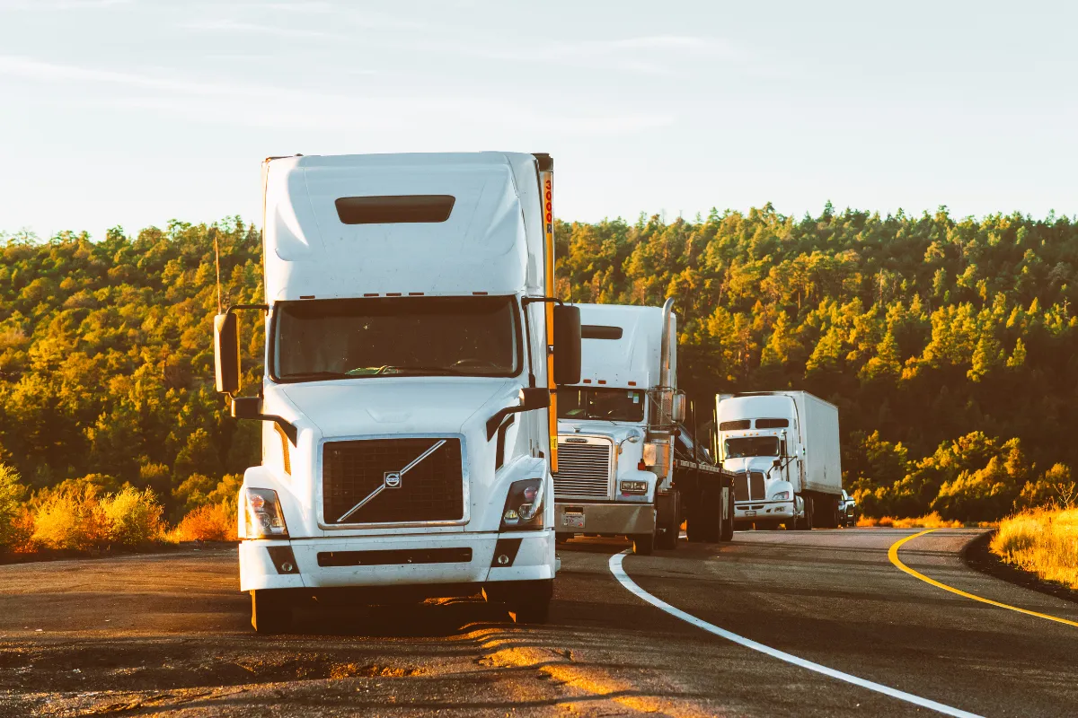 transport-de-vehicules-utilitaires-et-particuliers-services-fiables-et-flexibles